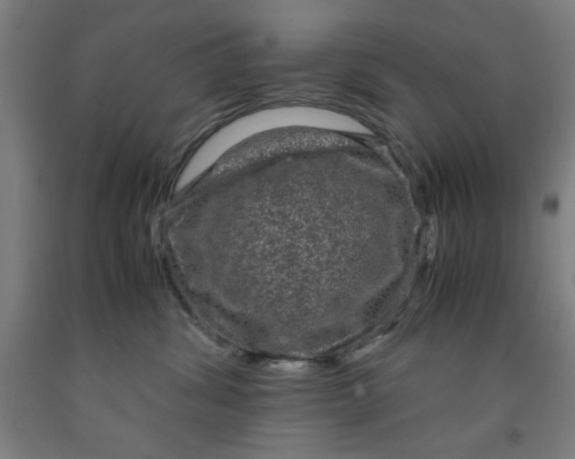 X0000091920428200709261646