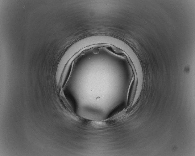 X0000091920429200709261646