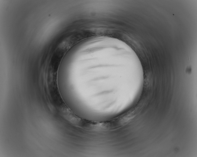 X0000091920430200709261646