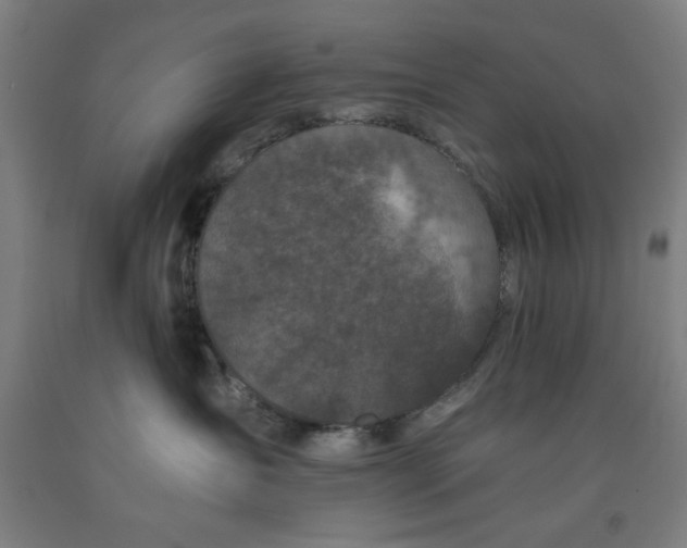 X0000091920431200709261646