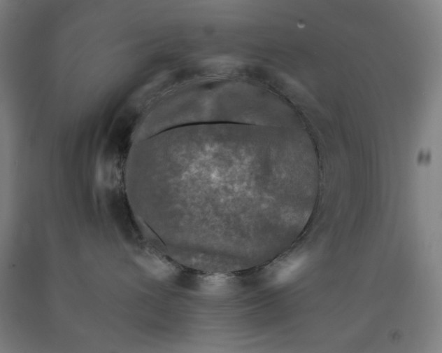 X0000091920432200709261646