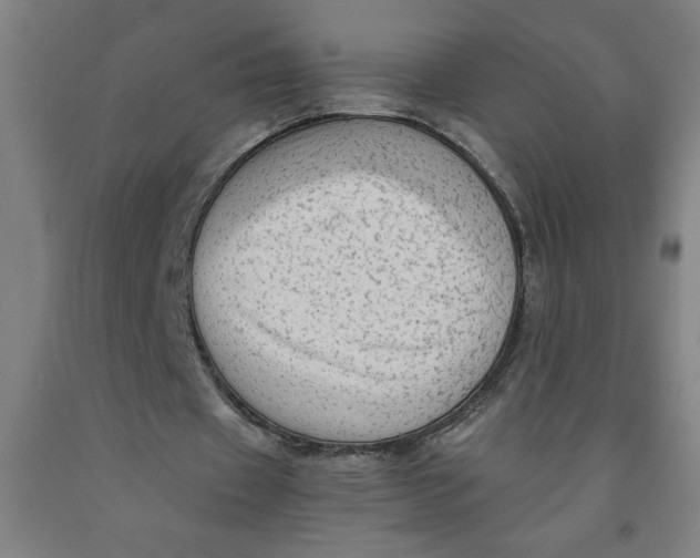 X0000091920433200709261646