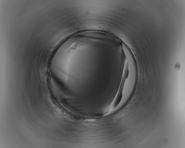 X0000091920434200709261646