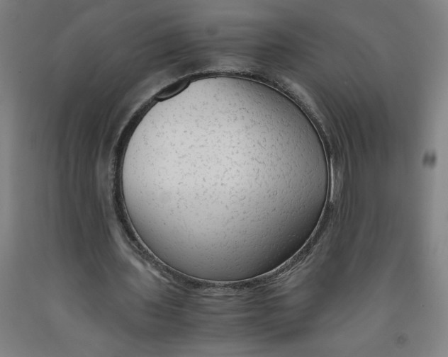 X0000091920435200709261646