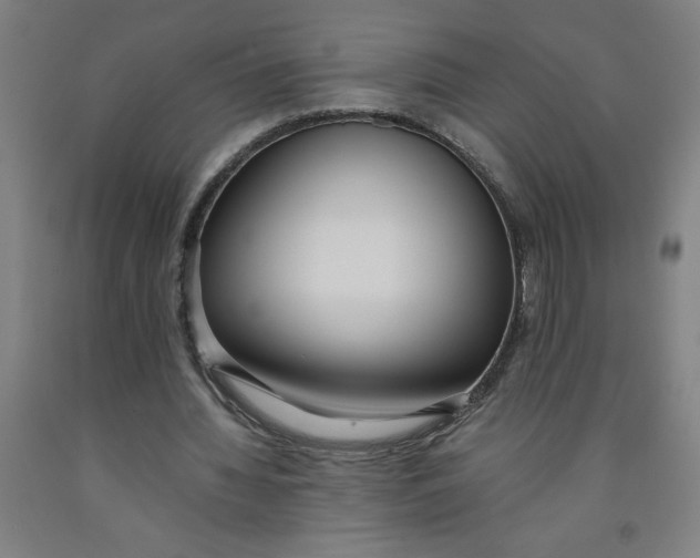 X0000091920436200709261646