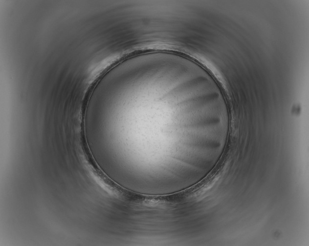 X0000091920437200709261646