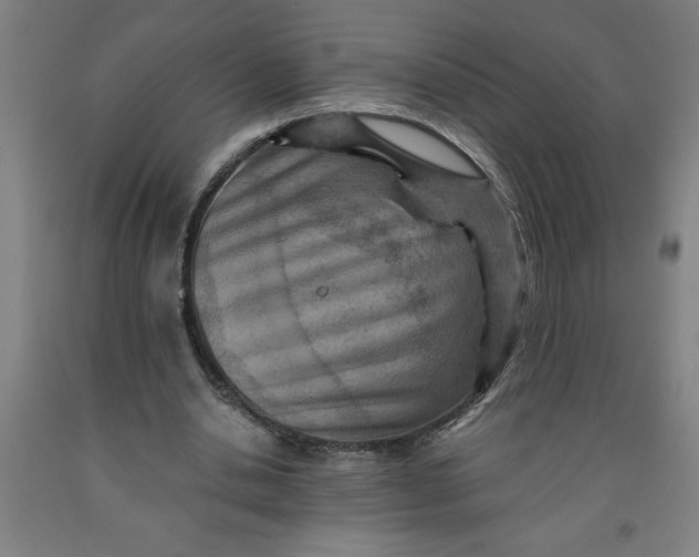 X0000091920438200709261646