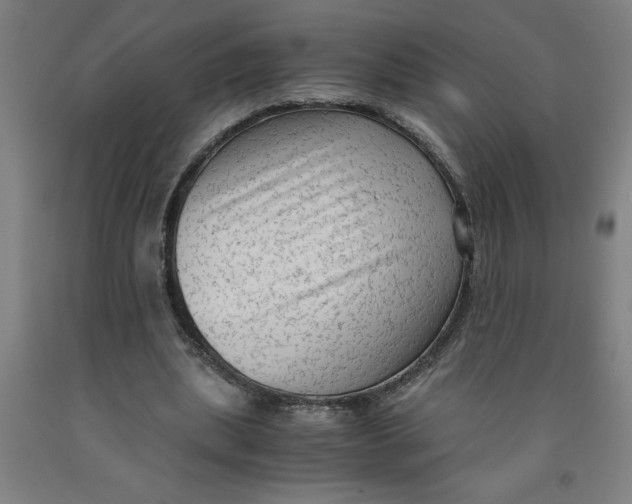 X0000091920439200709261646