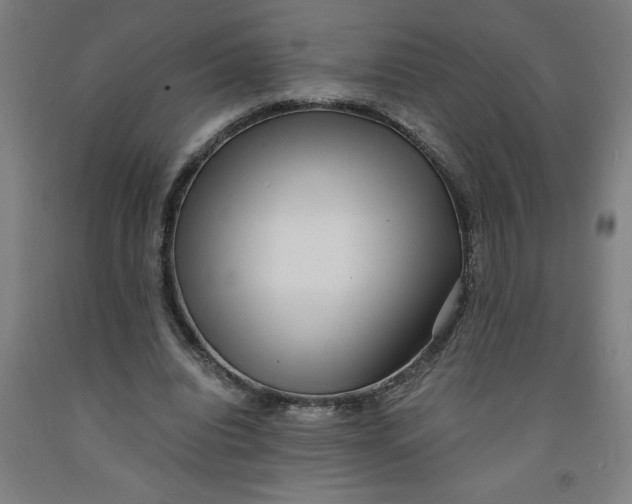 X0000091920440200709261646