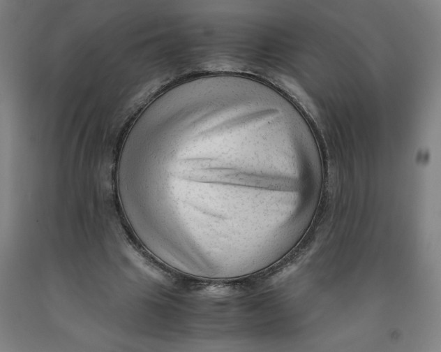 X0000091920441200709261646