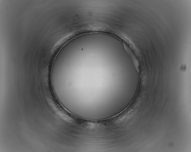 X0000091920442200709261646