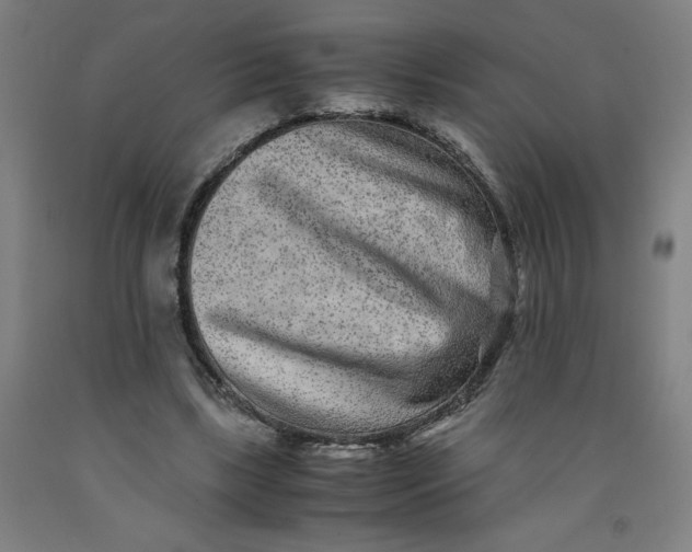 X0000091920443200709261646