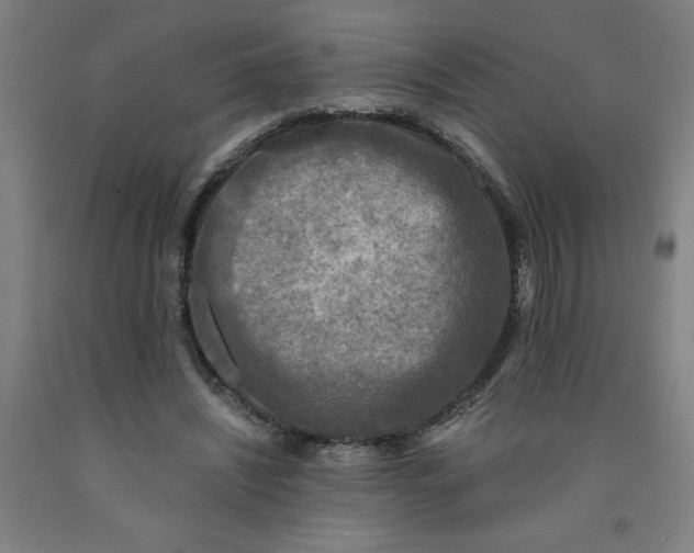 X0000091920444200709261646