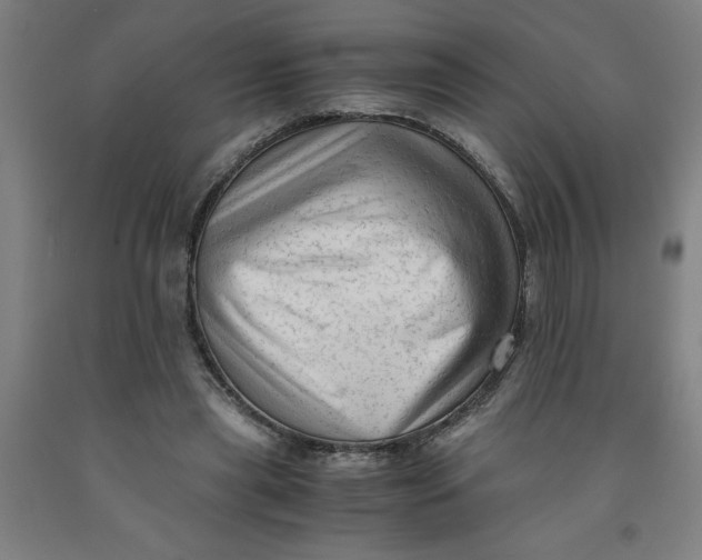 X0000091920445200709261646