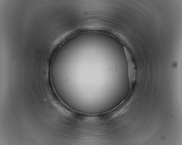 X0000091920446200709261646