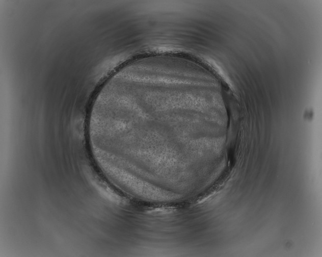 X0000091920447200709261646