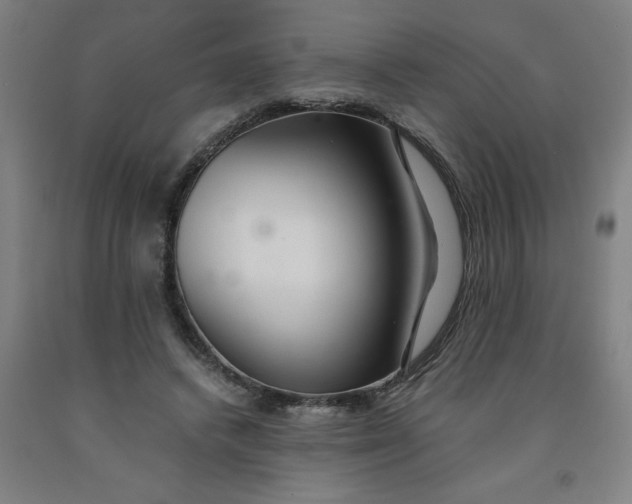 X0000091920448200709261646