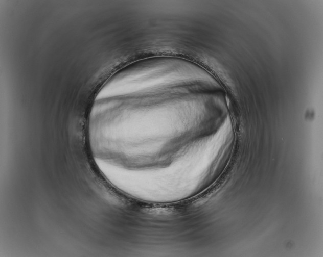 X0000091920449200709261646