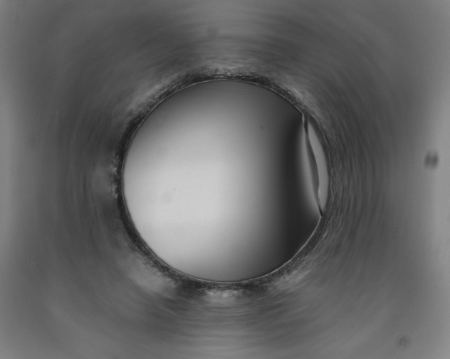 X0000091920450200709261646