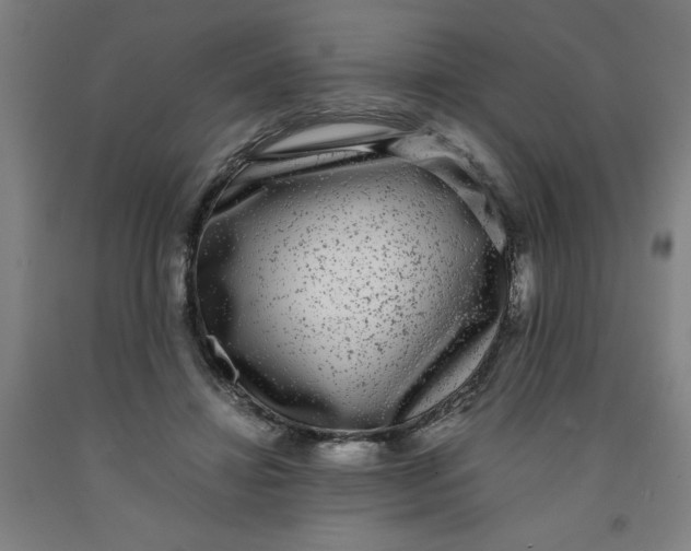 X0000091920452200709261646