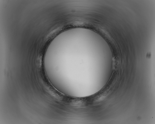 X0000091920454200709261646