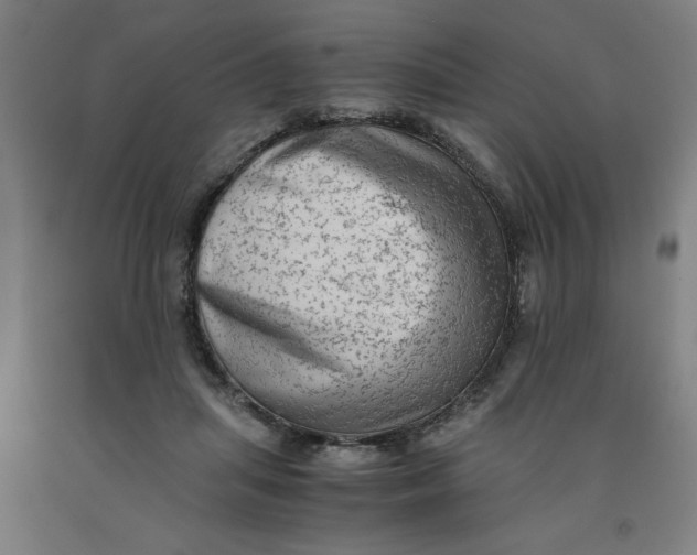 X0000091920455200709261646