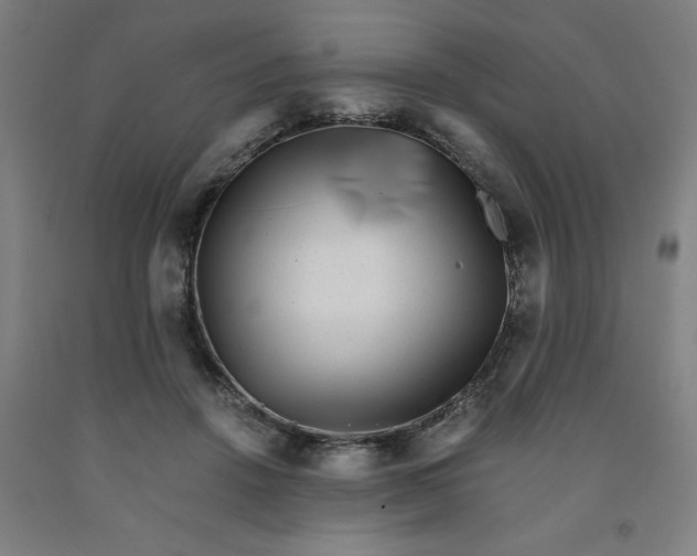 X0000091920456200709261646