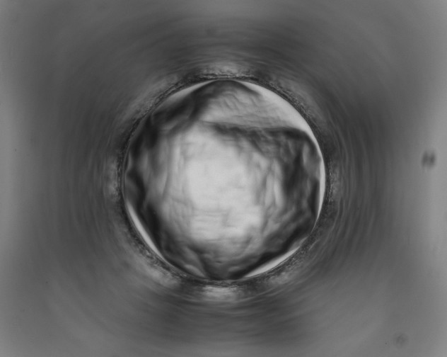 X0000091920457200709261646