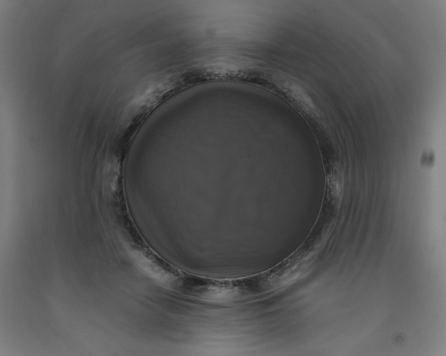 X0000091920458200709261646