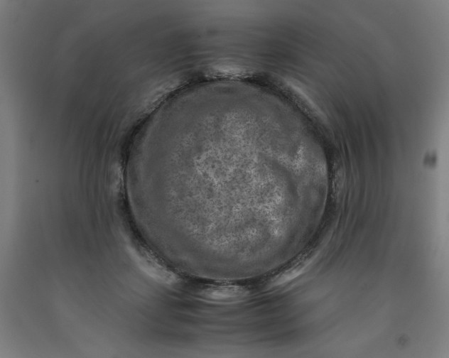 X0000091920459200709261646