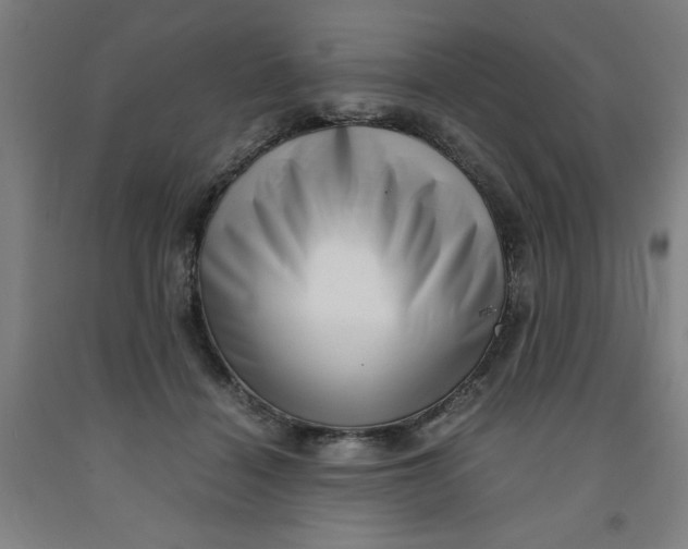 X0000091920460200709261646