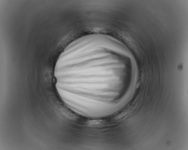 X0000091920461200709261646