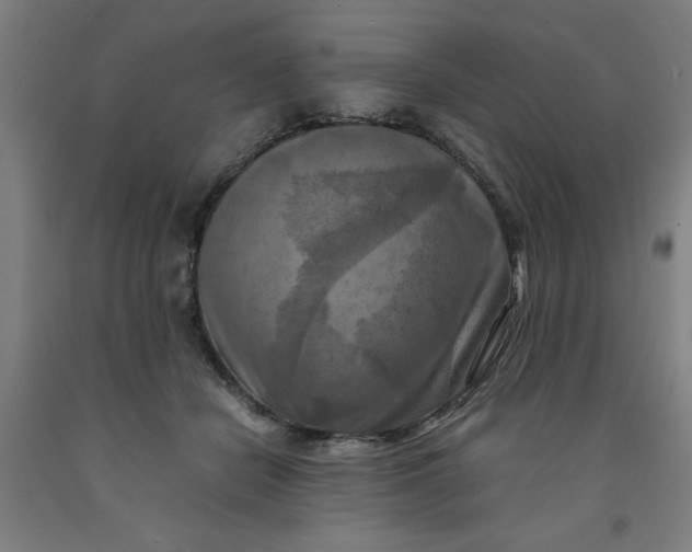 X0000091920462200709261646