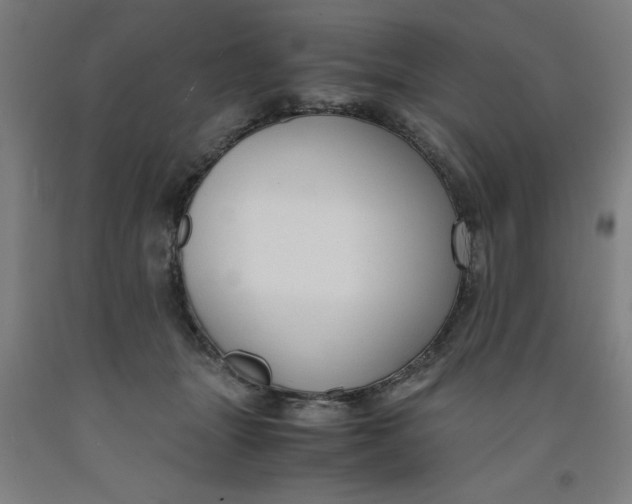 X0000091920463200709261646