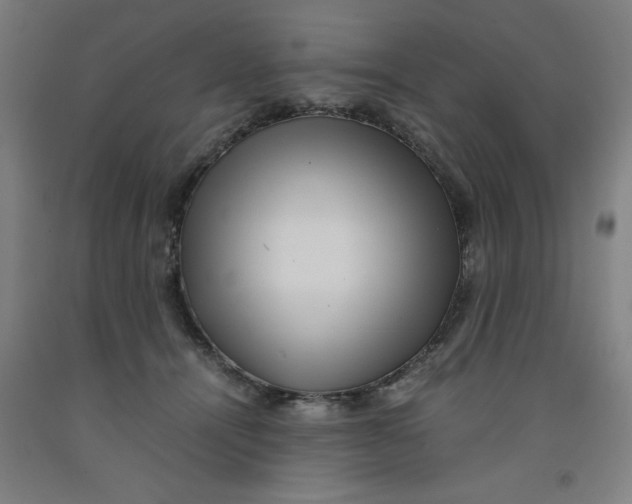 X0000091920464200709261646