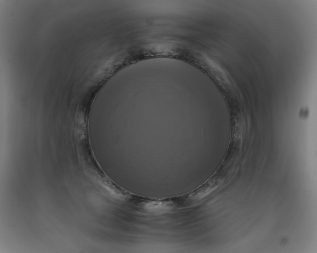 X0000091920465200709261646