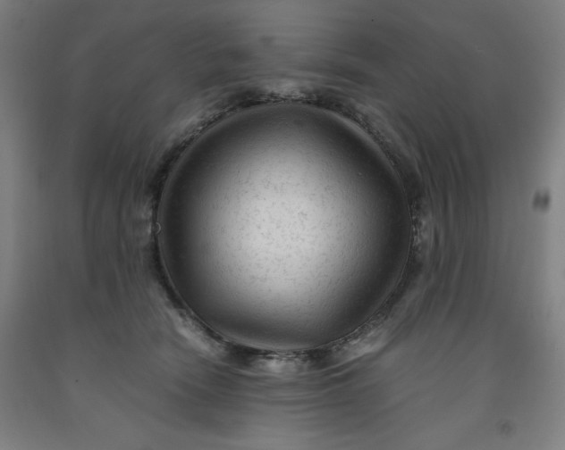 X0000091920466200709261646