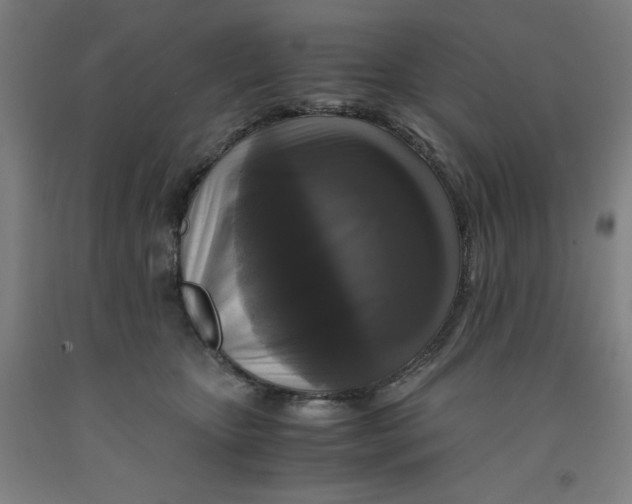 X0000091920467200709261646