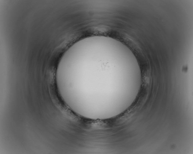 X0000091920468200709261646