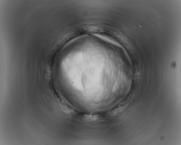 X0000091920469200709261646