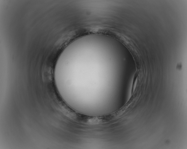 X0000091920470200709261646