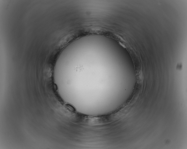 X0000091920472200709261646