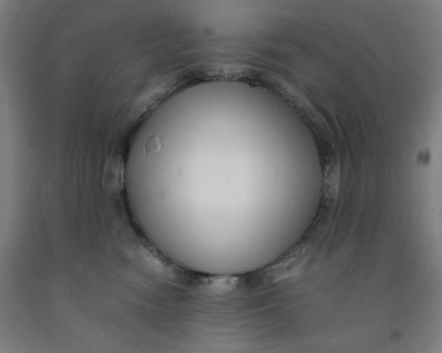 X0000091920474200709261646