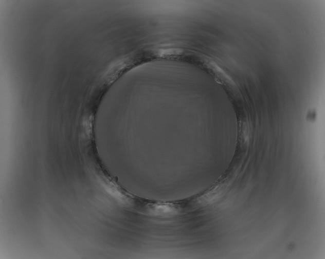 X0000091920475200709261646