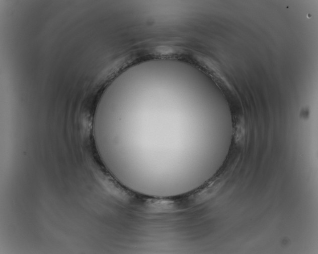 X0000091920476200709261646