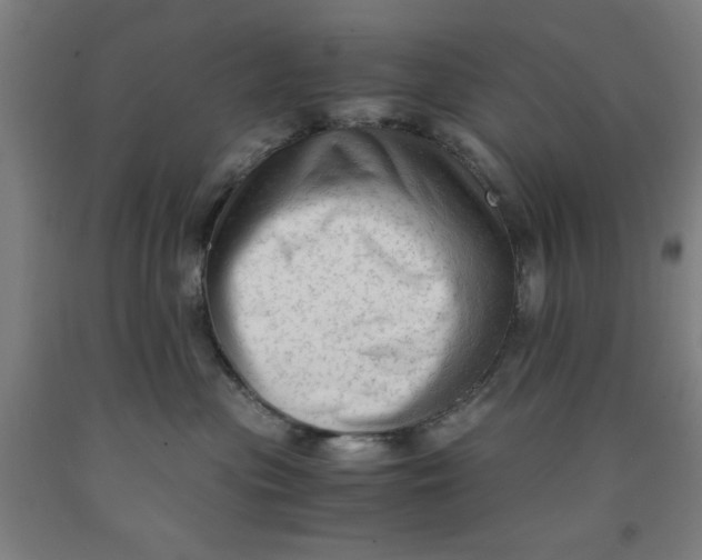 X0000091920477200709261646