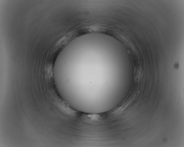 X0000091920478200709261646