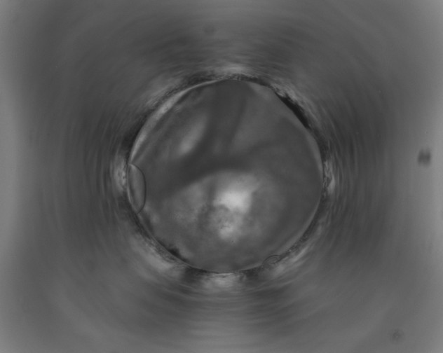 X0000091920479200709261646