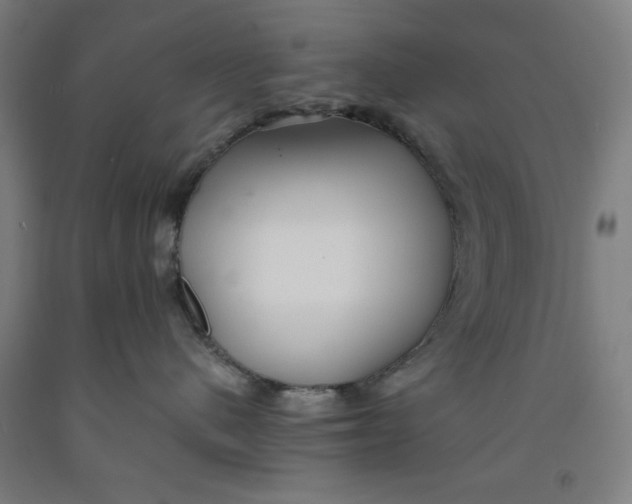 X0000091920480200709261646