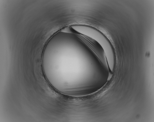 X0000091920481200709261646